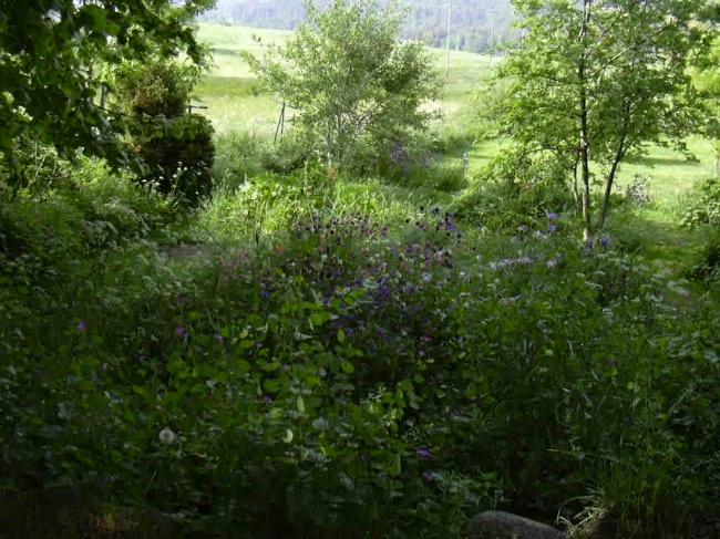 aux beaux (?) jours, le jardin