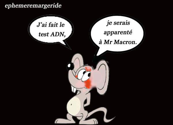 Adn macron ephemeremargeride