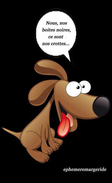 Chien def 1