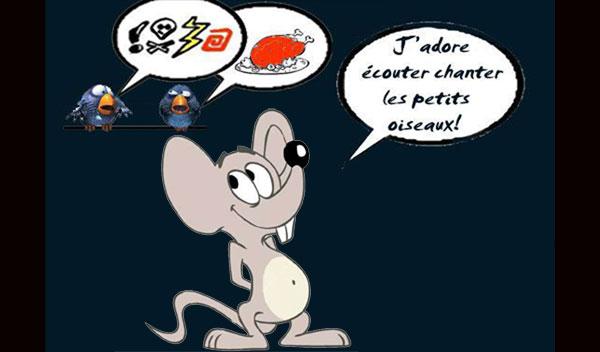 Coucou