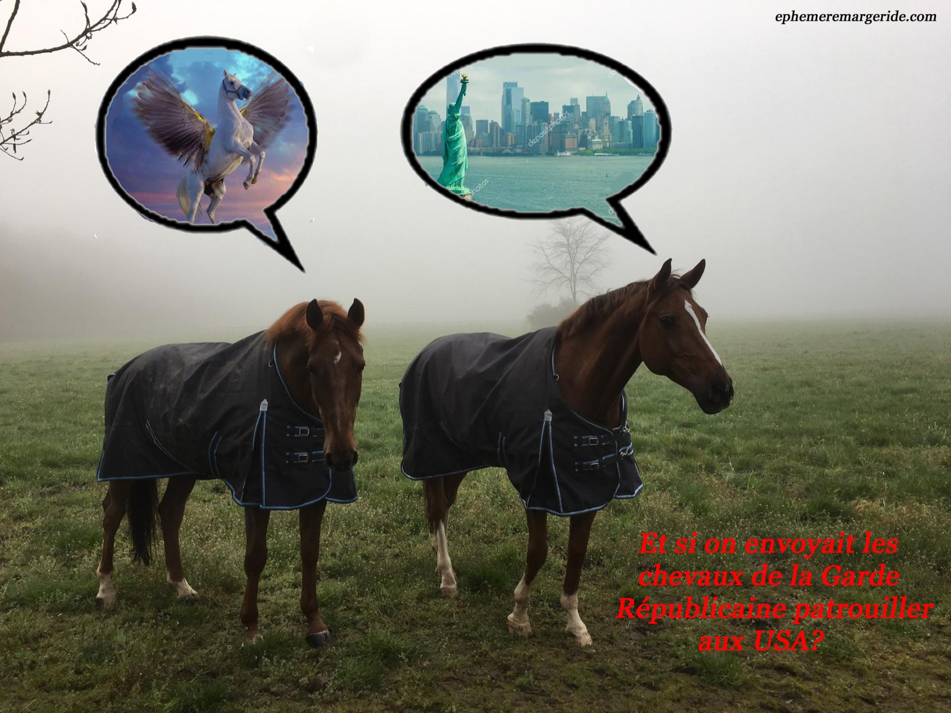 Patrouille chevaux garde rep usa ephemeremargeride