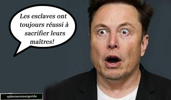 Rat musk epheeremargeride